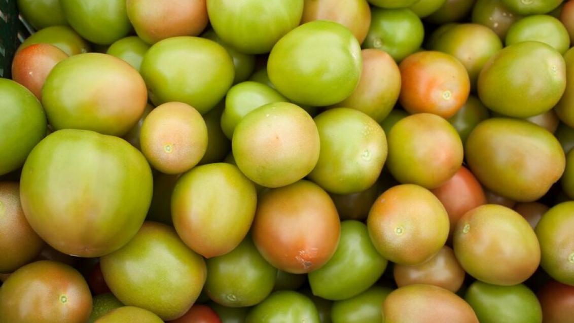 Montón de tomates verdes con algunos anaranjados en un mercado