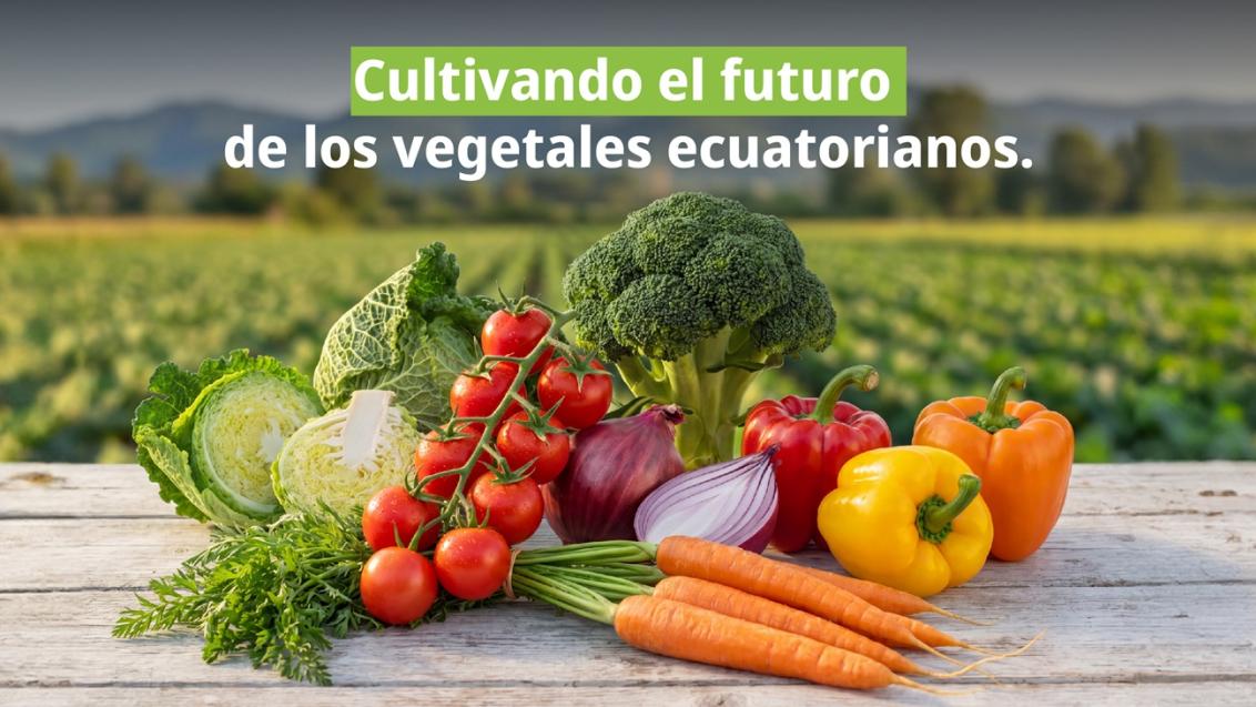 Verduras frescas sobre mesa: tomates, zanahorias, pimientos y cebolla; campo al fondo.