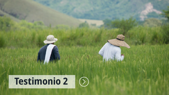 l_testimonio_2_570x319.png