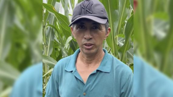 Hombre con gorra y camisa azul en un campo de maíz verde.