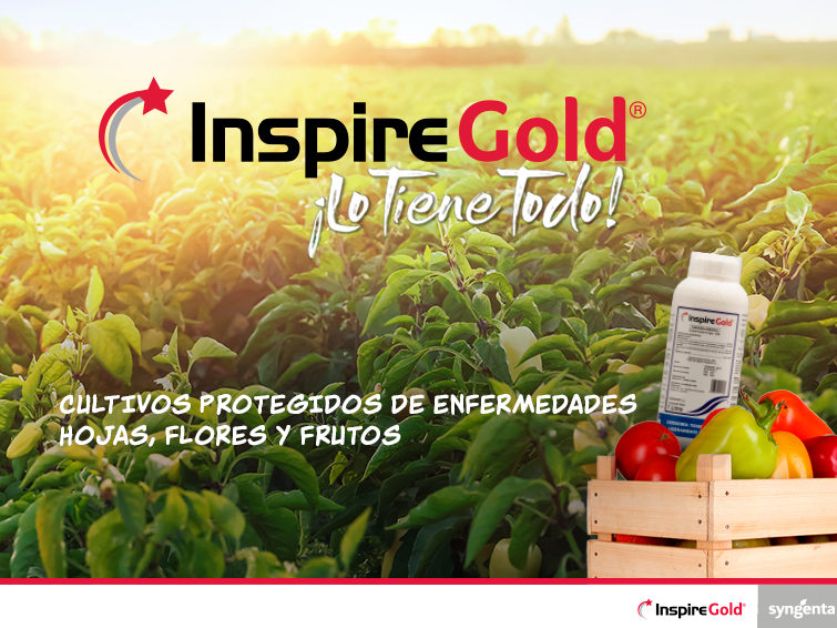Inspire Gold