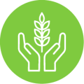 Logotipo verde con manos sosteniendo una planta blanca