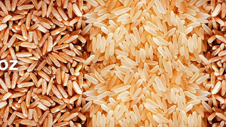 Tratamiento de semillas, herbicidas, fungicidas e insecticidas para un cultivo sano y productivo de arroz