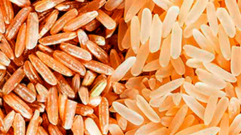 Arroz