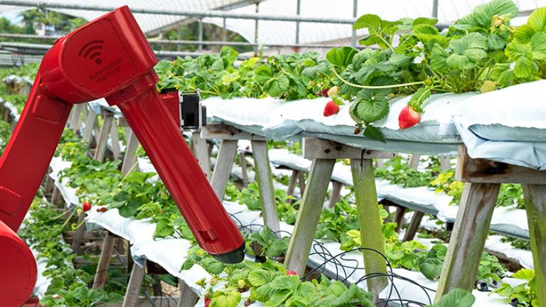 ¿Robots en el campo?