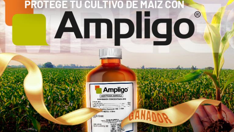 Protege tu cultivo, protege tu inversiónCon Ampligo protege tu cultivo de maíz del Gusano cogollero<br>Conoce más aquí