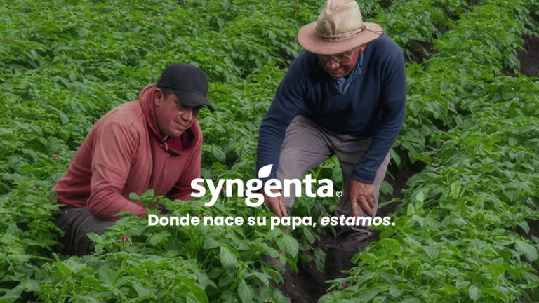 Dos agricultores revisan cultivo verde; logo de Syngenta y texto superpuesto.