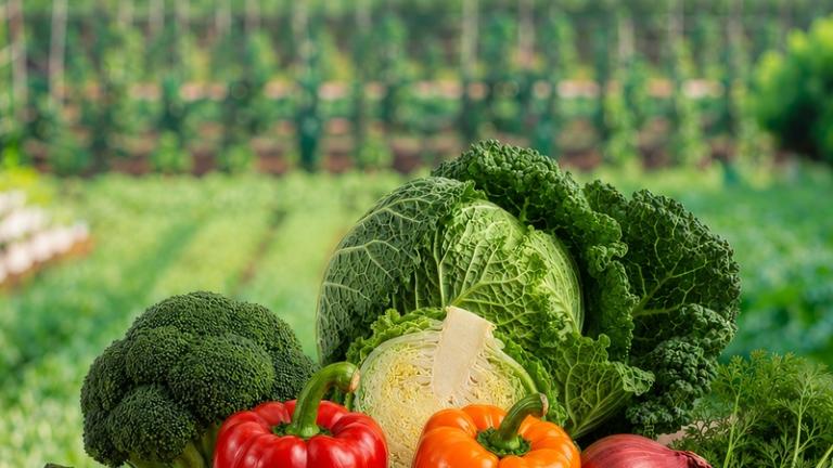Verduras frescas sobre mesa rústica; huerto verde al fondo bajo cielo azul.