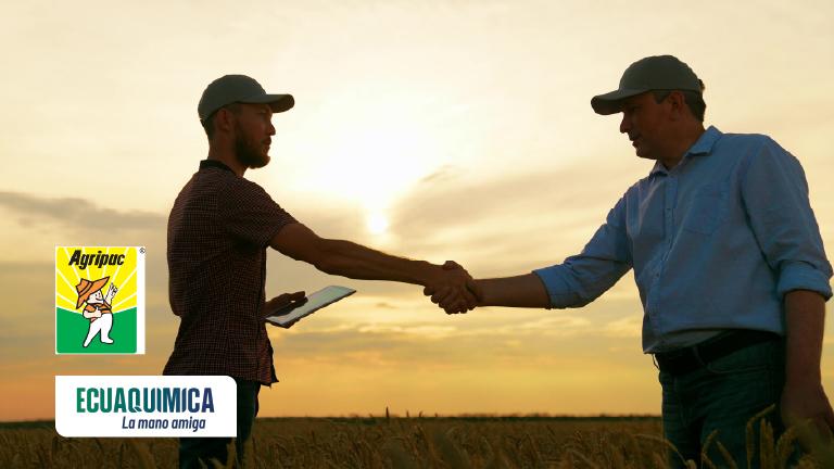 Dos agricultores estrechándose la mano al atardecer en un campo; logo “AGRO” a la izquierda.