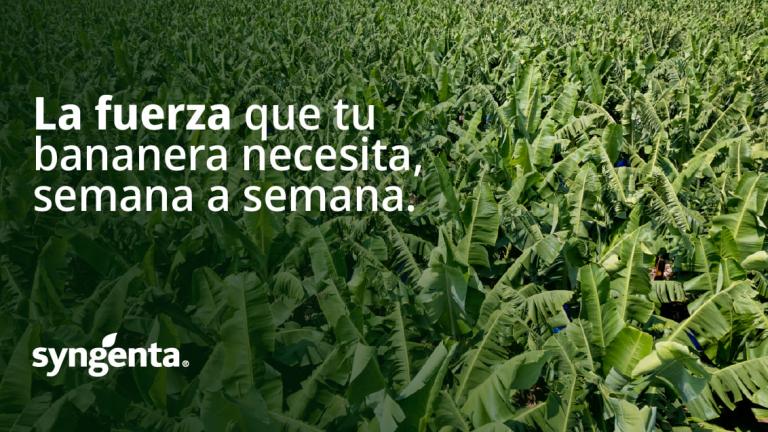 Campo de cultivo verde con texto publicitario en blanco sobre fondo oscuro