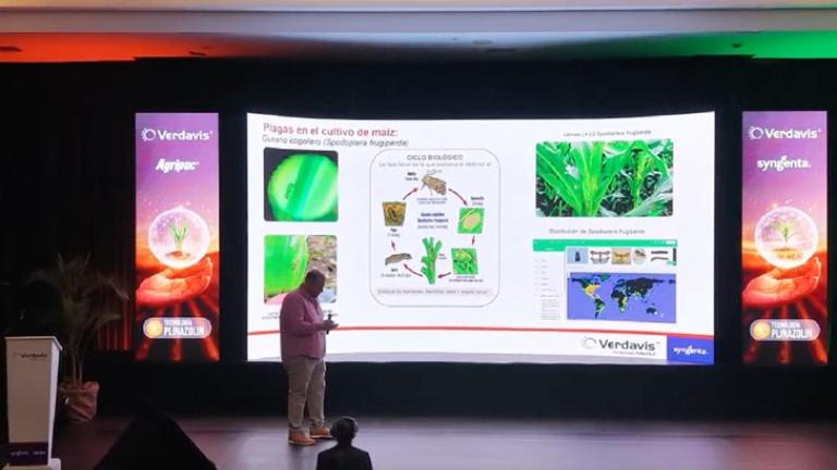 Ponente en escenario frente a pantalla con diapositiva científica y gráficos verdes