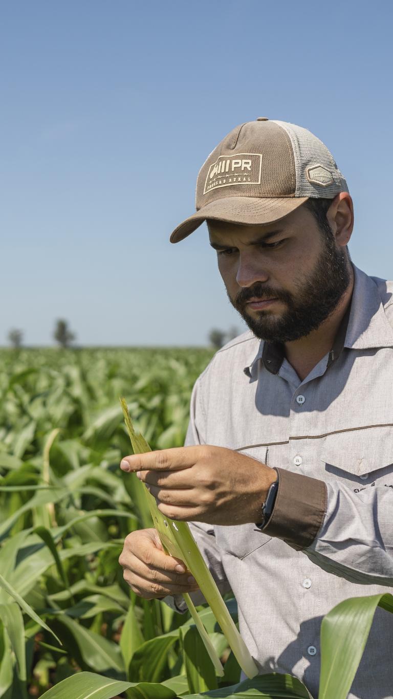 Agricultor con gorra revisa una planta en un campo verde bajo cielo azul.
