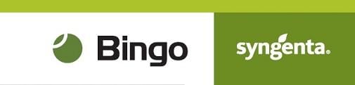 Bingo