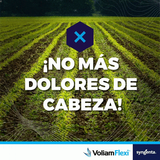 Voliam Flexi