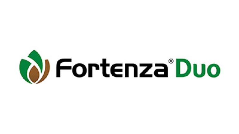 logo fortenza duo
