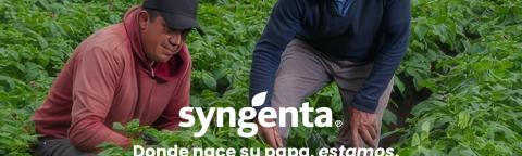 Dos agricultores agachados en un campo verde; texto “syngenta” y lema debajo.
